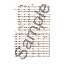 Anders Koppel: Passacaglia (Score)