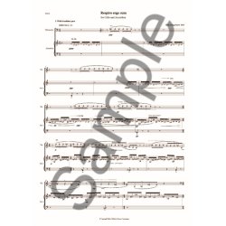 Niels Rosing-Schow: Respiro Ergo Sum (Player's Score)