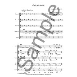 Sunleif Rasmussen: &Oacute;r Ymis Holdi