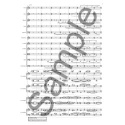 Anders Br&oslash;dsgaard: Wie Sch&ouml;n Leuchtet Der Morgenstern (Score)