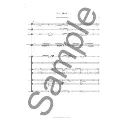 Henrik Hellstenius: Still Panic - Concerto for Bass Clarinet and Orchestra (Score)