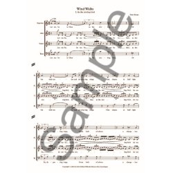 Peter Bruun: Wind Walks (SATB)