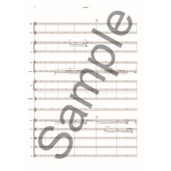 Niels Rosing-Schow: Flashnight (Score)