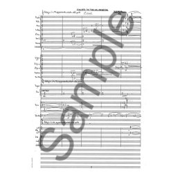 Niels Marthinsen: Concerto For Tuba And Orchestra (Score)