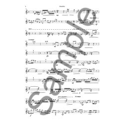 Anders Koppel: Concerto For Mandolin And String Quartet (Solo Part)