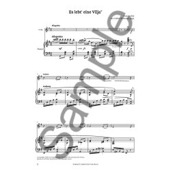 Franz Leh&aacute;r: 3 Pieces From Die Lustige Witwe (The Merry Widow)