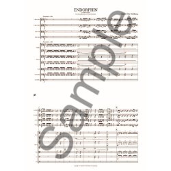 S&oslash;ren Nils Eichberg: Endorphin - Version For String Quartet And String Orchestra (Score)