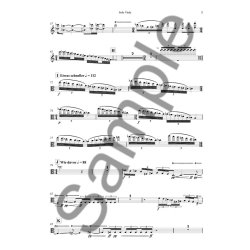 S&oslash;ren Nils Eichberg: Charybdis - Concerto For Viola and Orchestra (Viola Solo)