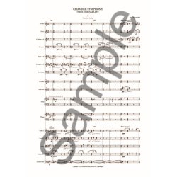 Peter Bruun: Chamber Symphony 'Once One Has Left' (Score)