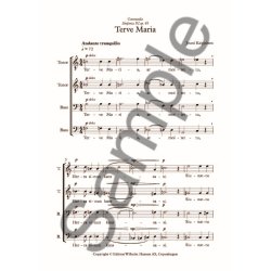 Jouni Kaipainen: Terve Maria (TTBB)