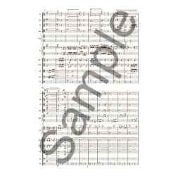 Anders Koppel: Concerto No.2 For Accordion And Orchestra (Score)