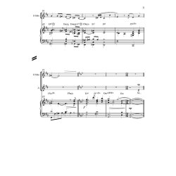 Sommerfugledalen - et requiem