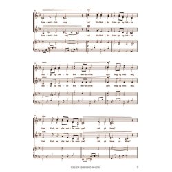 Ni Salmer For Lige Stemmer