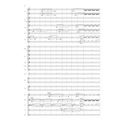 Orchestersuite Aus Der Oper Schlagt Sie Tot!