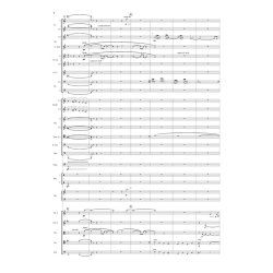 Orchestersuite Aus Der Oper Schlagt Sie Tot!