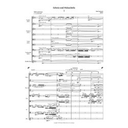 Schreie Und Melancholie