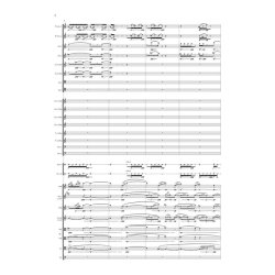 Enchantress Five Intermezzi for Orchestra