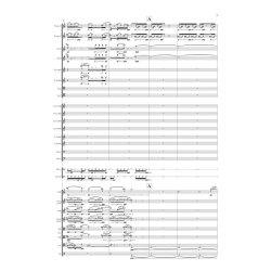 Enchantress Five Intermezzi for Orchestra