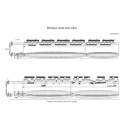 Kvinner Vendt Mot Solen
