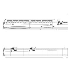Kvinner Vendt Mot Solen