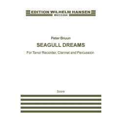 Seagull Dreams