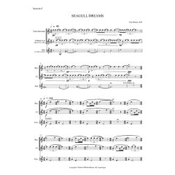 Seagull Dreams