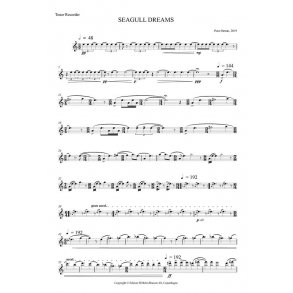 Seagull Dreams