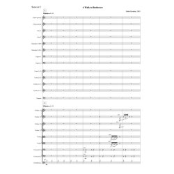 A Walk To Beethoven