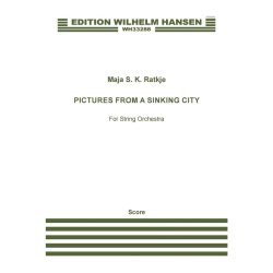 Pictures From A Sinking City