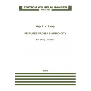 Pictures From A Sinking City