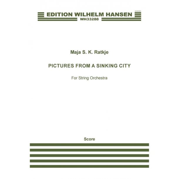 Pictures From A Sinking City