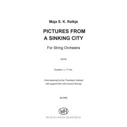 Pictures From A Sinking City