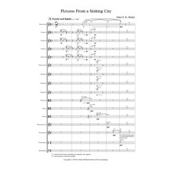 Pictures From A Sinking City