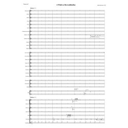 A Walk To Berwaldhallen