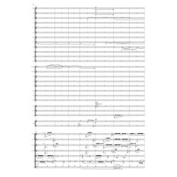 A Walk To Berwaldhallen