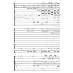 A Walk To Berwaldhallen