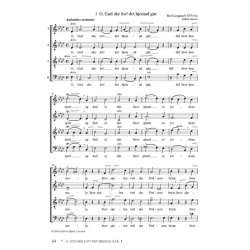 Motetter, Salmemelodier, Andelige Sange