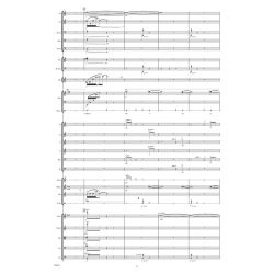 Public Behaviour : 2(pic).2.2(bcl).2(cbn)/4.3.2+btbn/3perc/hp.pf(syn)/str and solist perc, S,S,A,T,Bar,B