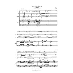Quartettsatz Work No. 14B