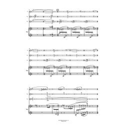 Quartettsatz Work No. 14B