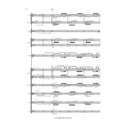 Dichterliebe (2020) : Version For Soprano/Mezzo Soprano - 2(afl).0.2(bcl).1(cbn)/1.1.1.0/2perc/str