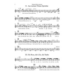 Dichterliebe (2020) : Version For Soprano/Mezzo Soprano - 2(afl).0.2(bcl).1(cbn)/1.1.1.0/2perc/str