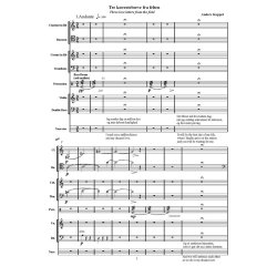 Three Love Letters From The Field : cl.bn.cnt.tbn.perc.vn.db and narrator