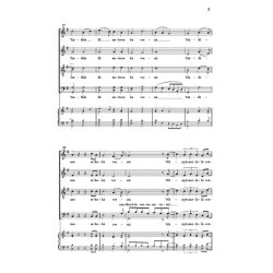 Modimo : Improvised Percussion