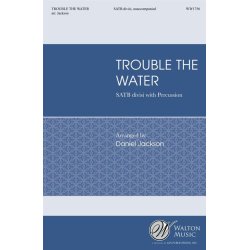 Trouble the Water