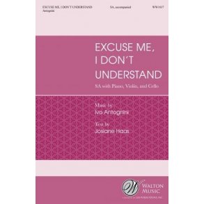 Excuse Me, I Don't Understand