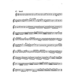 Der Fluyten Lust~hof II : New Vellekoop Edition by Thiemo Wind