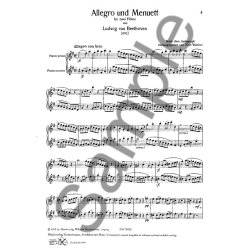 Ludwig Van Beethoven: Allegro And Menuet