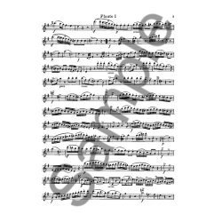 Mozart: 6 Duets Book 1 K156