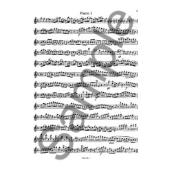 W.A. Mozart: Sechs Duette Fur Zwei Floten KV.157